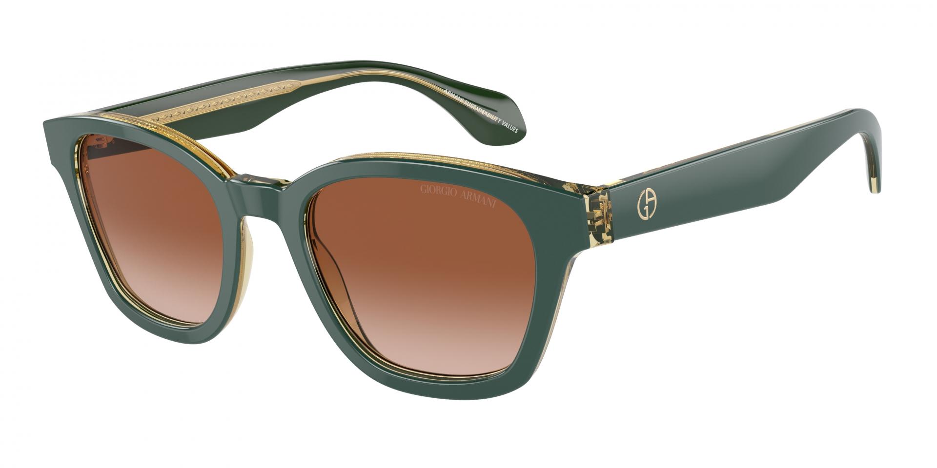 Sunglasses Giorgio Armani AR8207 608613 8056262046821 | Ottica Lux