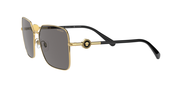 Occhiali da sole Versace VE2227 100281 8056597353380 | Ottica Lux