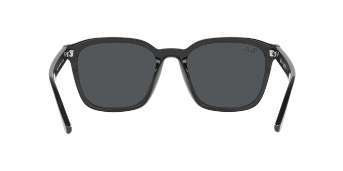 Occhiali da sole Ray-Ban RB4392D 601/87 8056597714129 | Ottica Lux