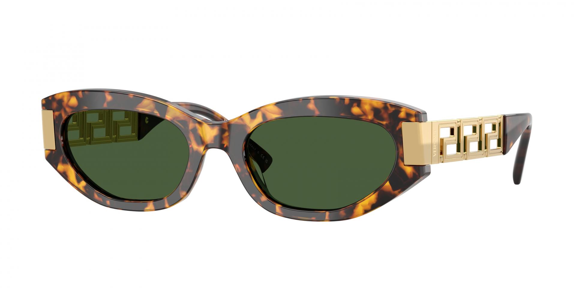 Sunglasses Versace VE2308D 152373 8056262974827 | Ottica Lux