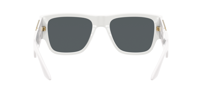 Occhiali da sole Versace VE4403 314/87 8056597353328 | Ottica Lux