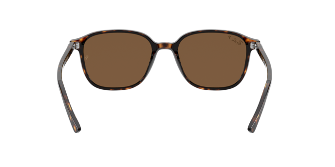 Sunglasses Ray-Ban RB2193 LEONARD 902/57 8056597318044 | Ottica Lux Sunglasses Ray-Ban RB2193 LEONARD 902/57 8056597318044 | Ottica Lux