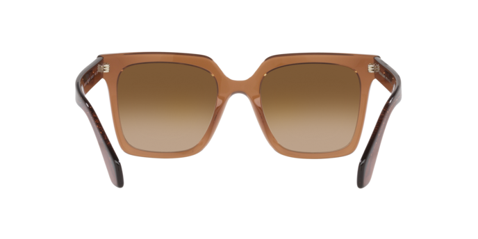 Sunglasses Giorgio Armani AR8156 593251 8056597628150 | Ottica Lux