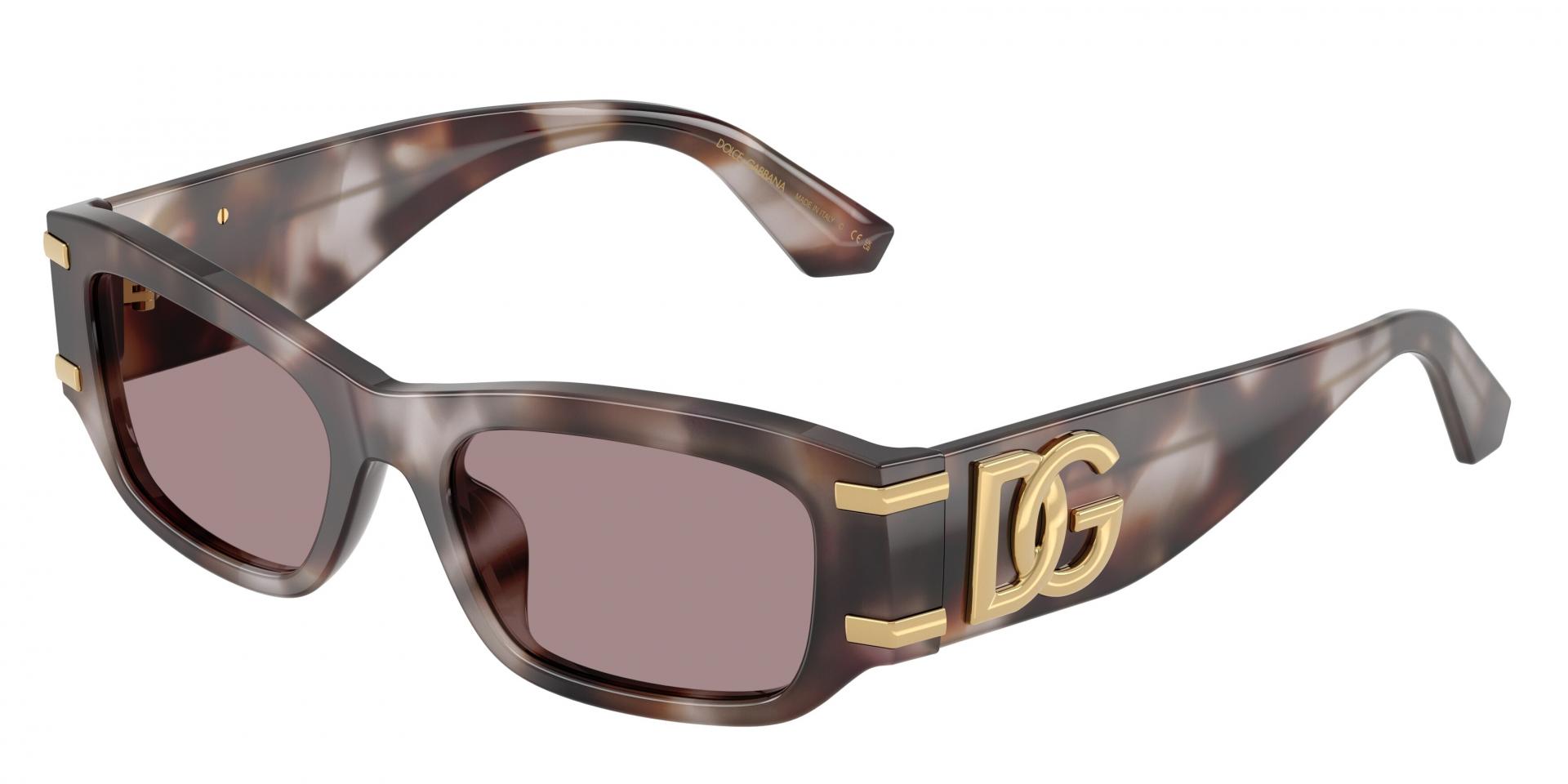 Sunglasses Dolce & Gabbana DG4564 501/87 8056266005787 | Ottica Lux