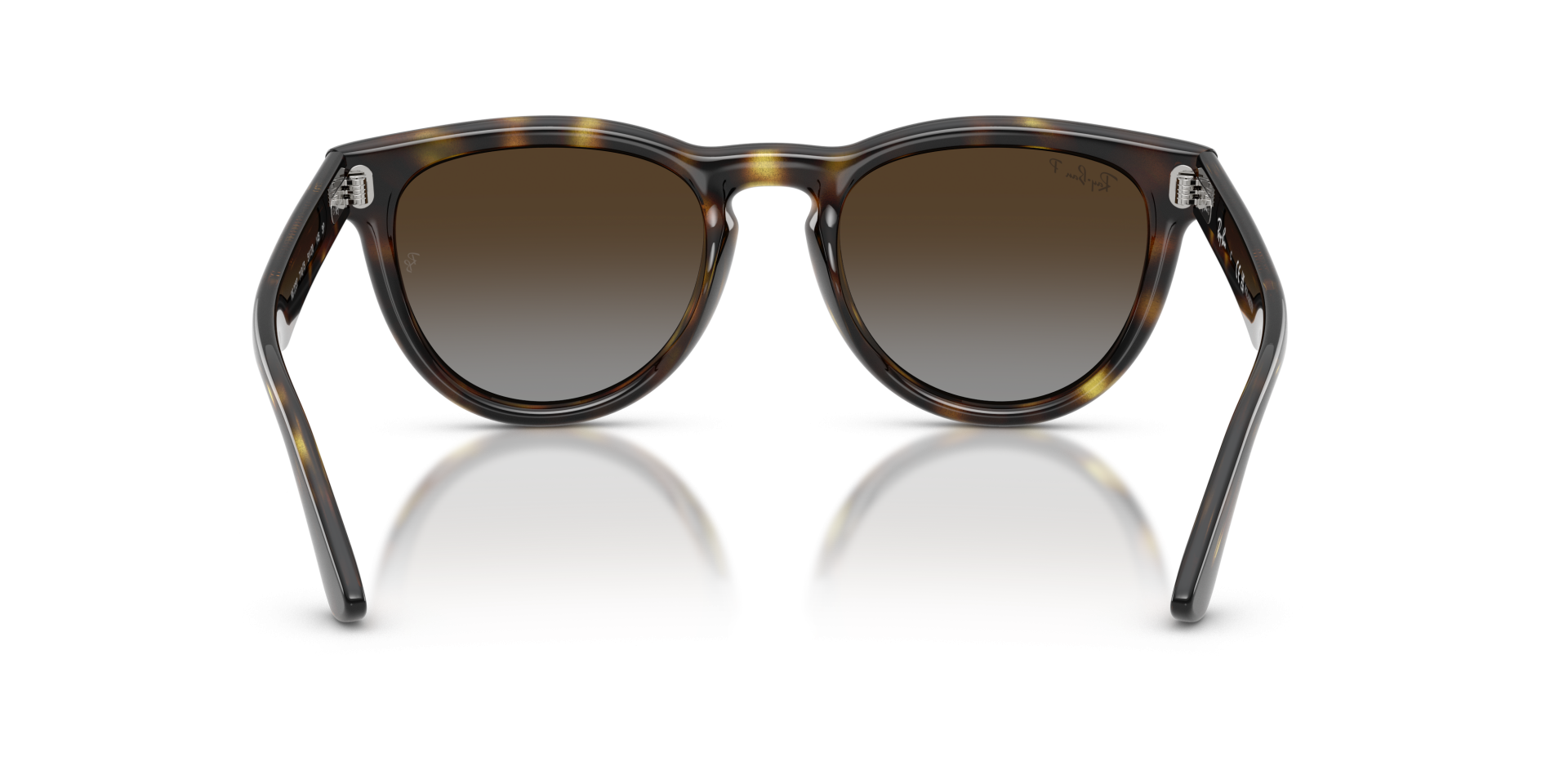 Sunglasses Ray-Ban RB2237 710/T5 8056262977415 | Ottica Lux