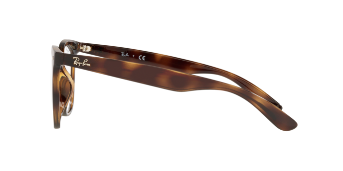 Ophthalmic frames  rx4451v 8426 8056262417515 | Ottica Lux