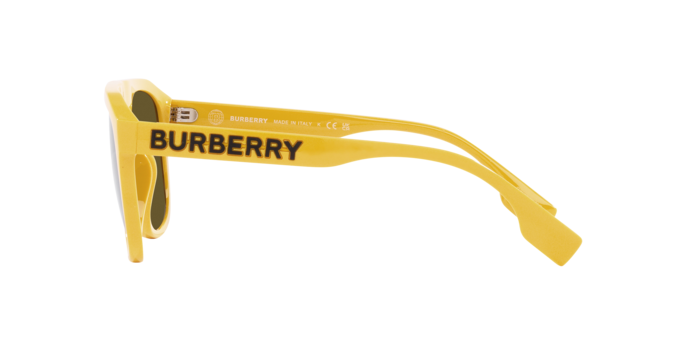 Occhiali da sole Burberry BE4396U WREN 407073 8056597835954 | Ottica Lux