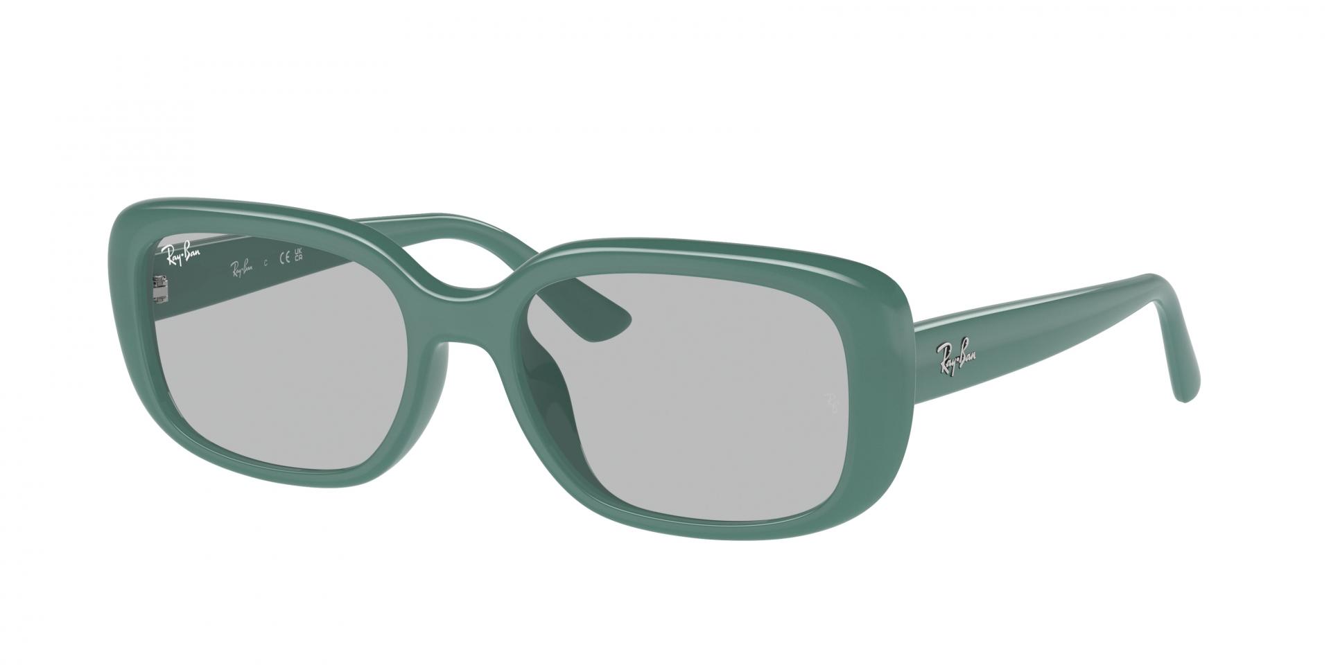 Occhiali da sole Ray-Ban RB4421D 676287 8056262080962 | Ottica Lux