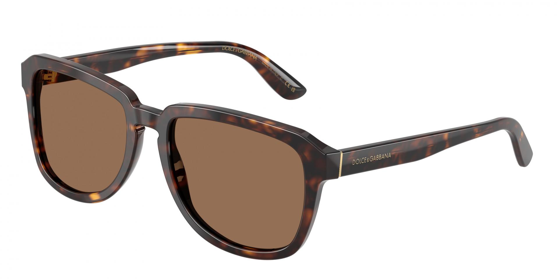 Occhiali da sole Dolce & Gabbana DG4566 502/9A 8056266094033 | Ottica Lux