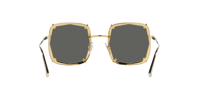 Sunglasses Tiffany & Co. TF3089 6002S4 8056597806664 | Ottica Lux