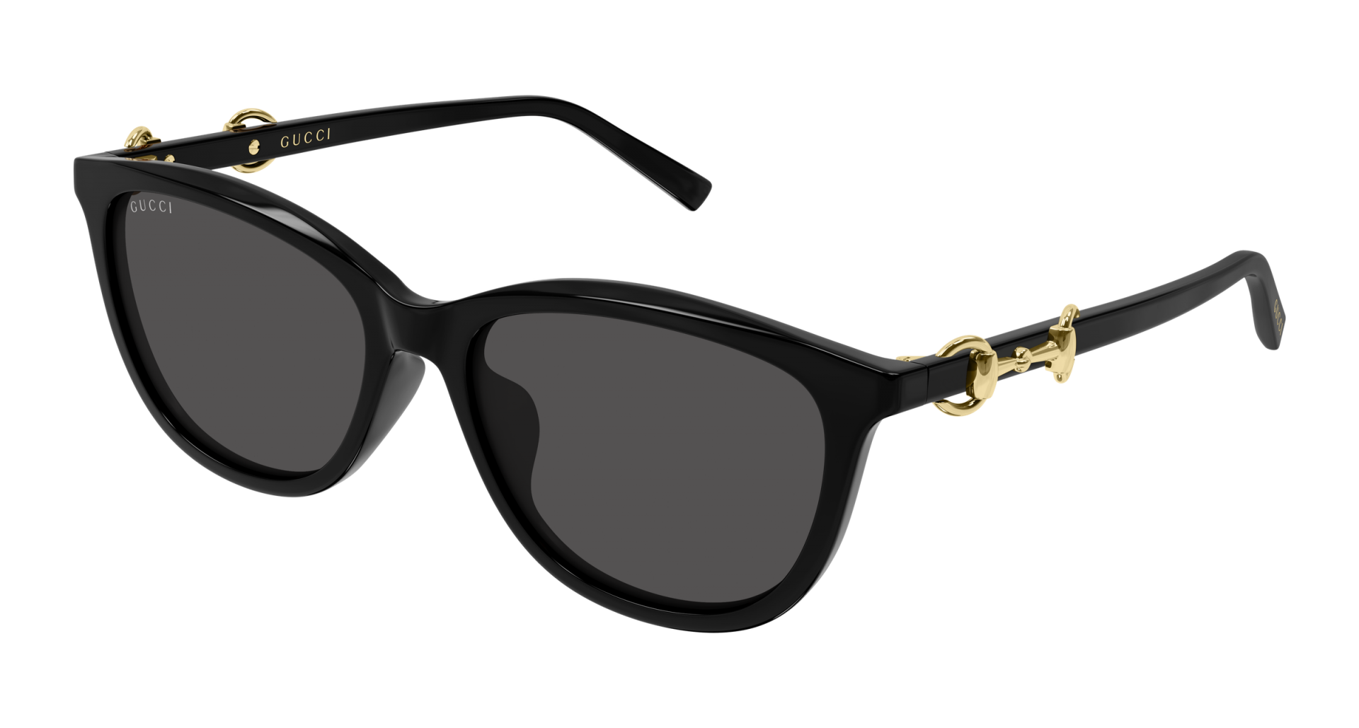 Occhiali da sole Alexander McQUEEN AM0493S 003 8056376566697 | Ottica Lux