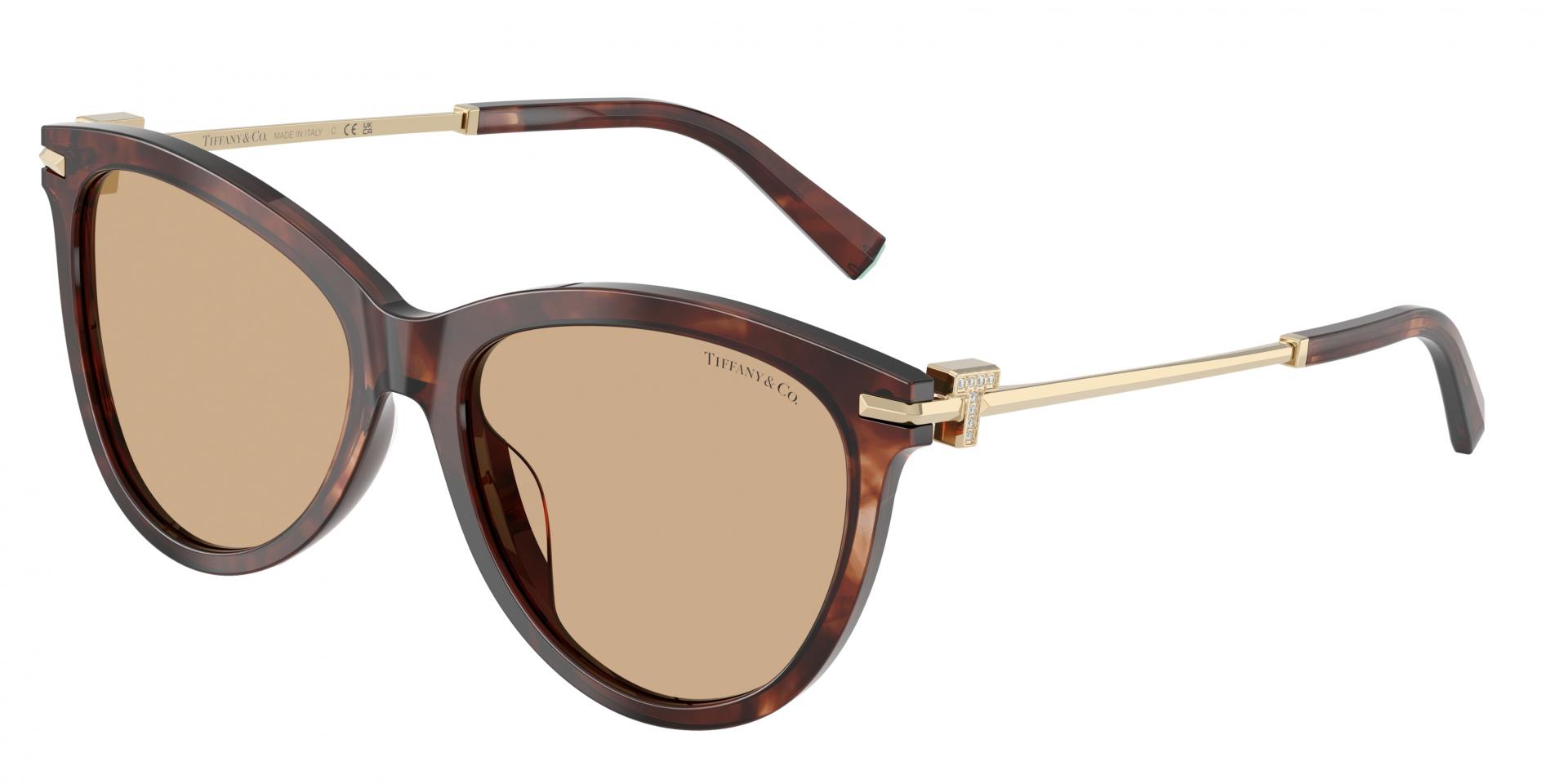 Occhiali da sole Giorgio Armani ar8248 63417X 8056262715741 | Ottica Lux