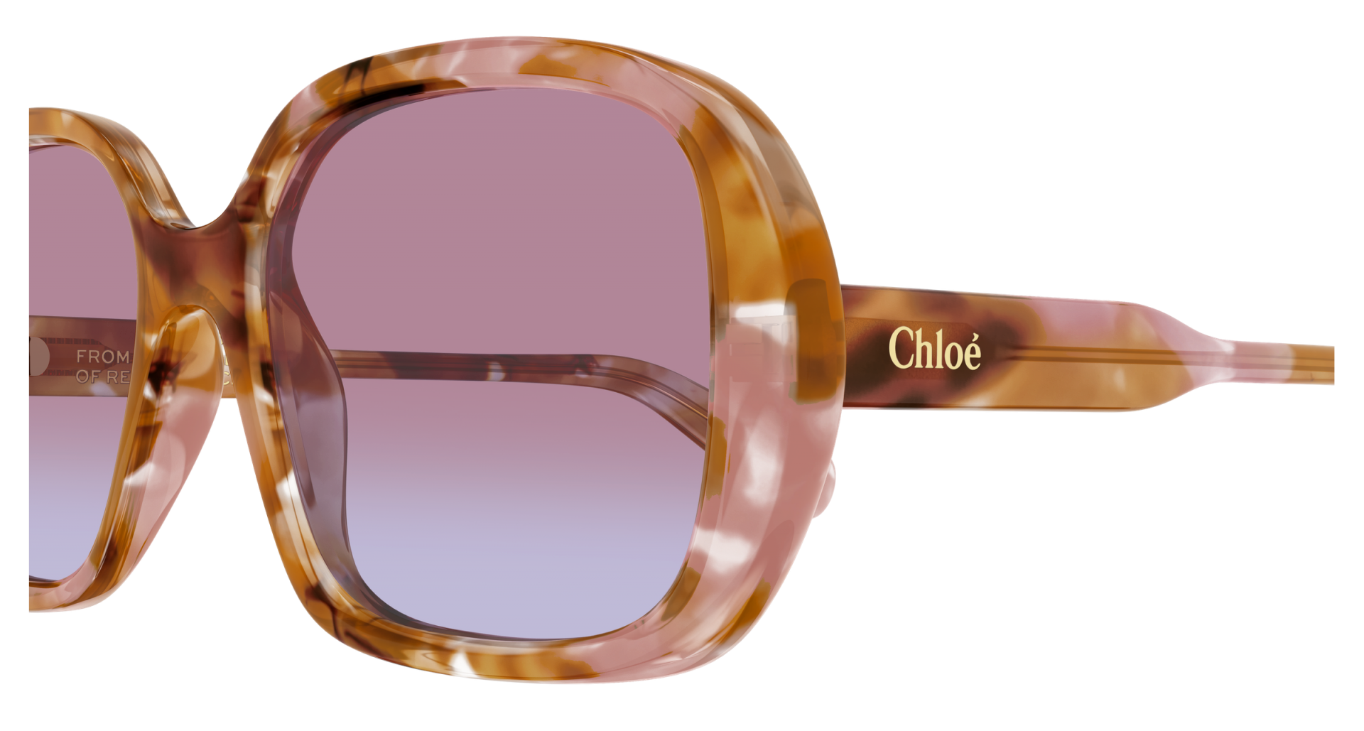 Sunglasses Chloé CH0222S 006 8056376615517 | Ottica Lux