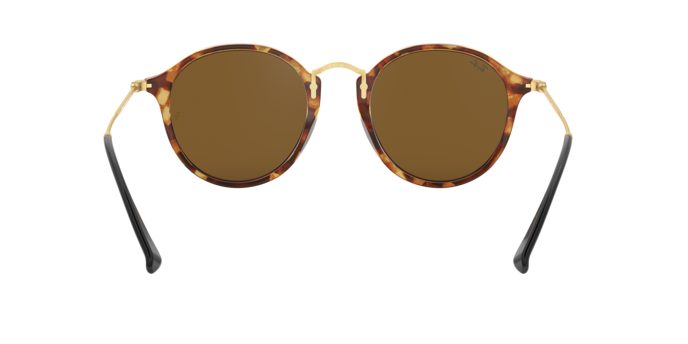 Occhiali da sole Ray-Ban RB2447 ROUND 1160 8053672358650 | Ottica Lux