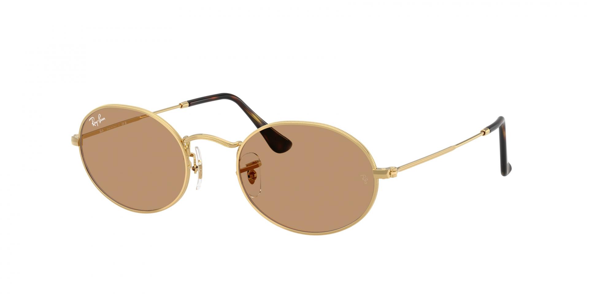 Sunglasses Ray-Ban RB3699 003/P1 8056597719599 | Ottica Lux