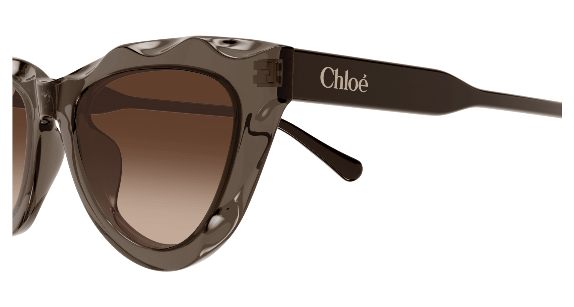 Sunglasses Chloé CH0294S 003 8056376561333 | Ottica Lux