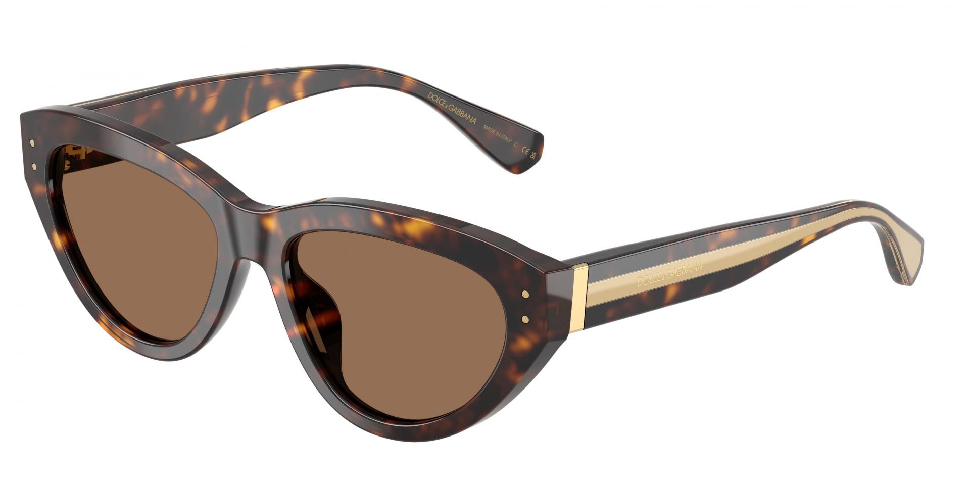 Sunglasses Dolce & Gabbana DG4558 350287 8056266007422 | Ottica Lux