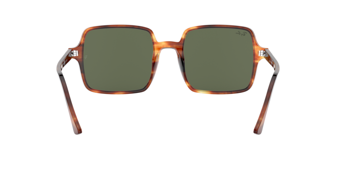 Sunglasses Ray-Ban RB1973 SQUARE II 954/31 8056597121880 | Ottica Lux Sunglasses Ray-Ban RB1973 SQUARE II 954/31 8056597121880 | Ottica Lux