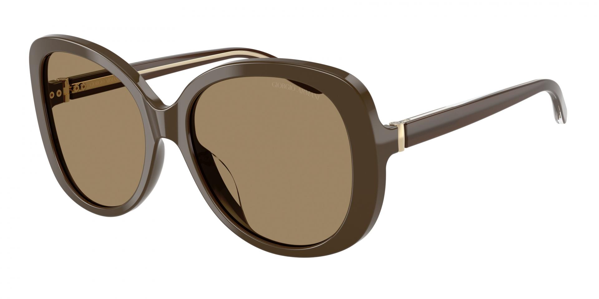 Sunglasses Giorgio Armani AR8229U 595753 8056262316702 | Ottica Lux