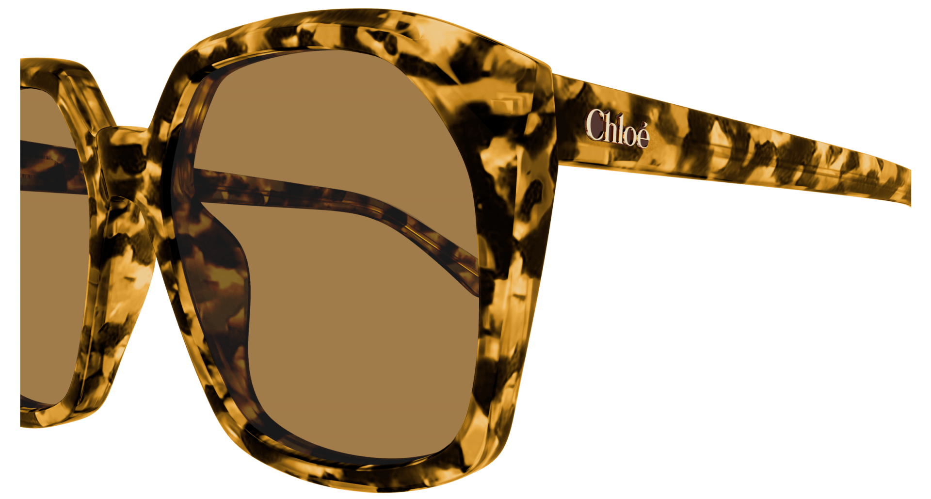 Sunglasses Chloé CH0280S 007 8056376541601 | Ottica Lux