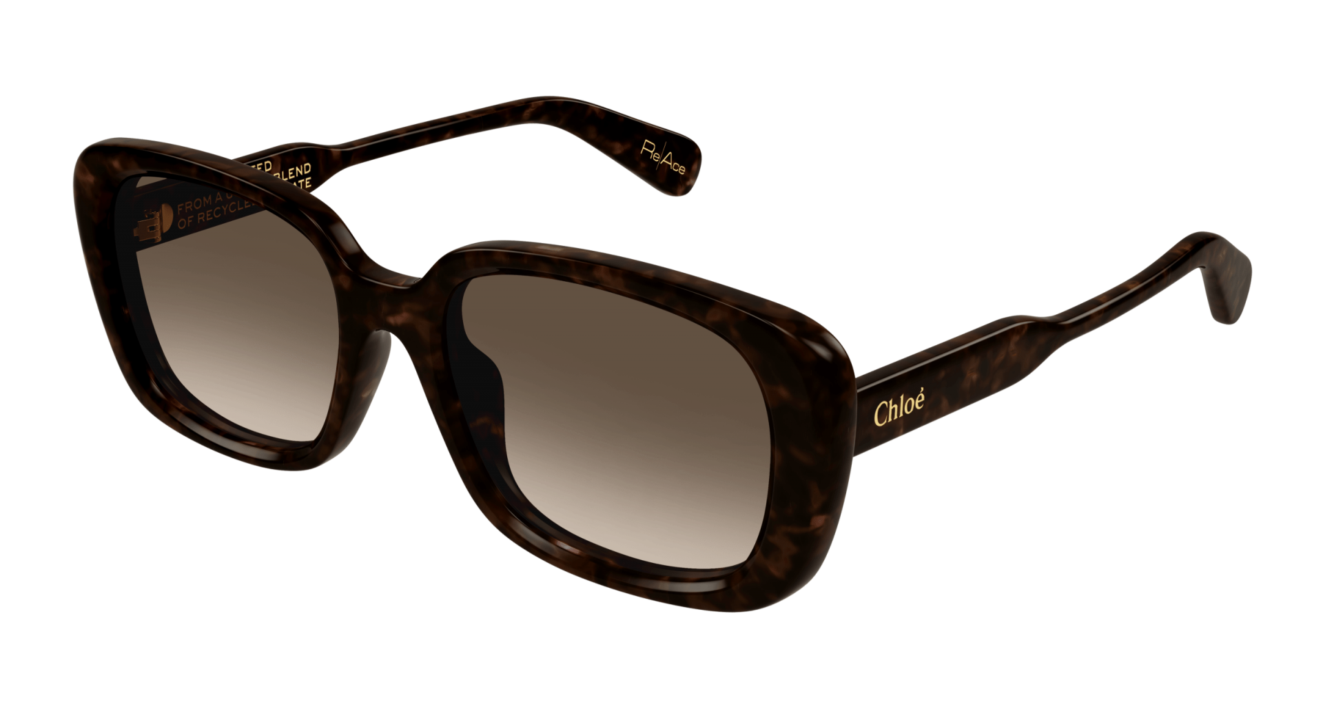 Occhiali da sole Balenciaga BB0135SA 001 8056376346886 | Ottica Lux