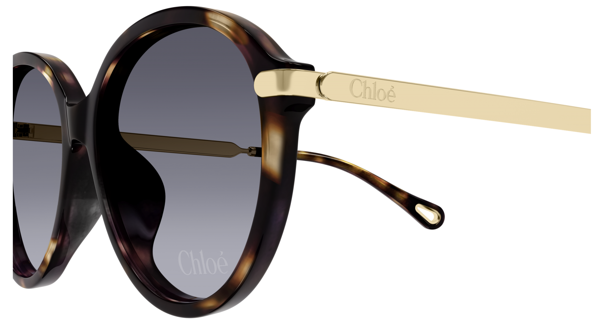 Occhiali da sole Chloé CH0358SK 002 8056376659948 | Ottica Lux