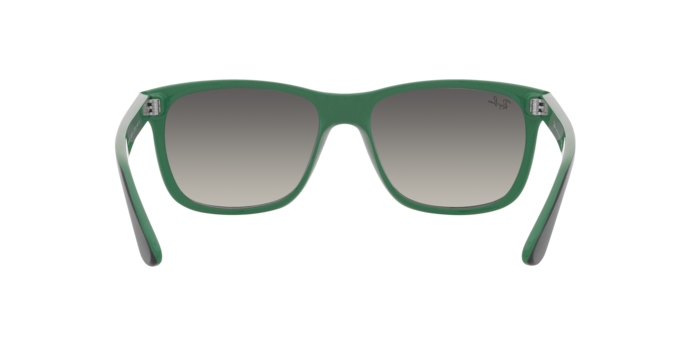 Occhiali da sole Ray-Ban RB4181 RB4181 656811 8056597547222 | Ottica Lux