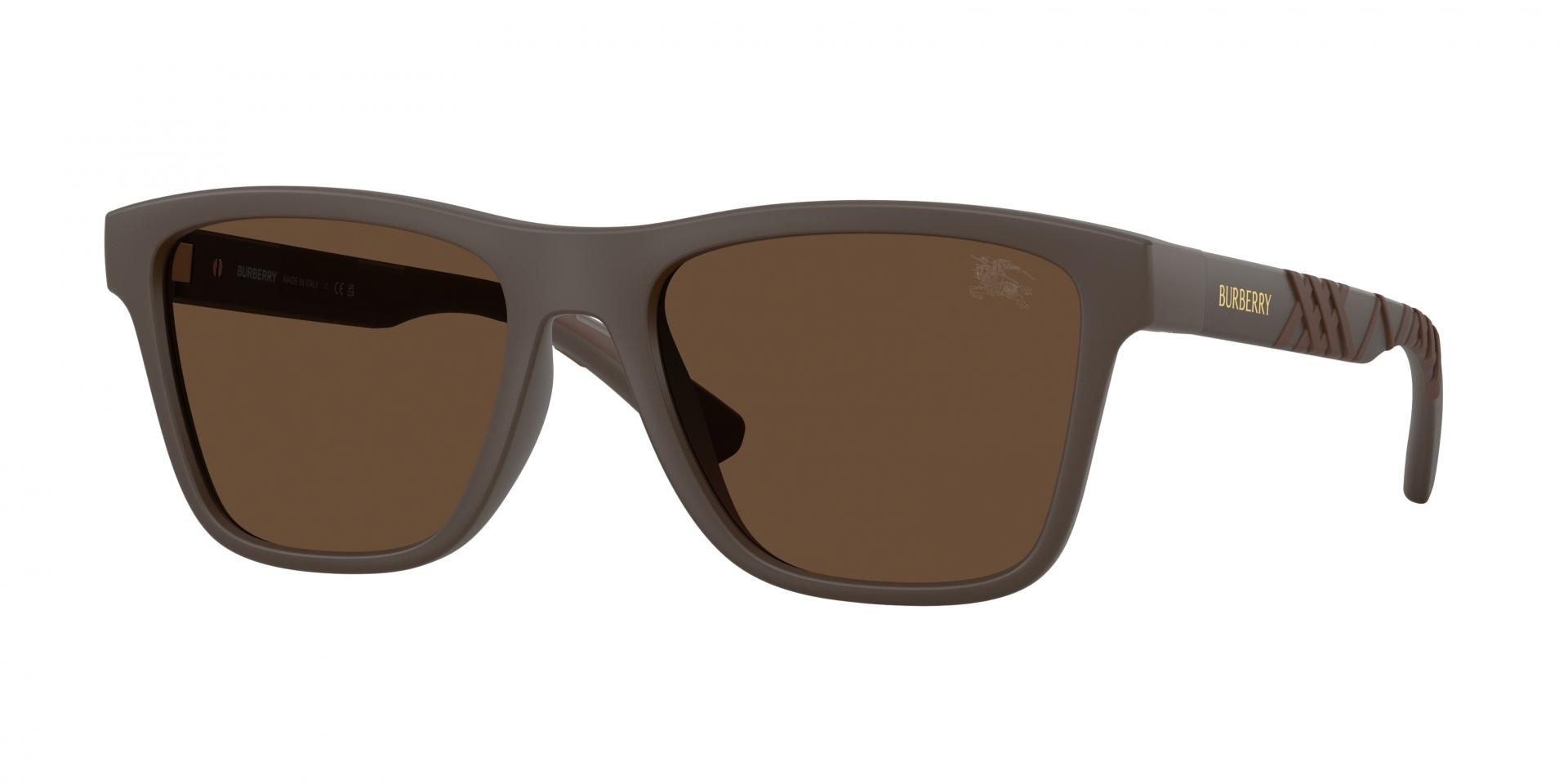 Occhiali da sole Ray-Ban rb2283 MR BURBANK 1314R5 8056597556521 | Ottica Lux