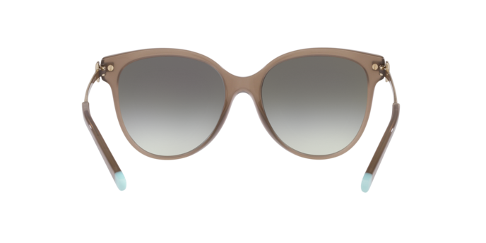 Occhiali da sole Tiffany & Co. TF4193B 8001T3 8056597918787 | Ottica Lux Occhiali da sole Tiffany & Co. TF4193B 8001T3 8056597918787 | Ottica Lux
