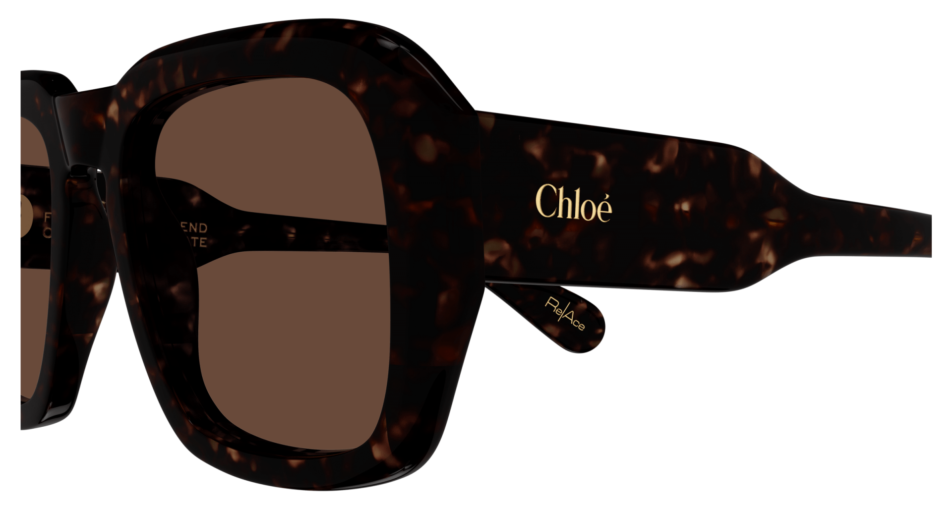 Sunglasses Chloé CH0310S 002 8056376558531 | Ottica Lux