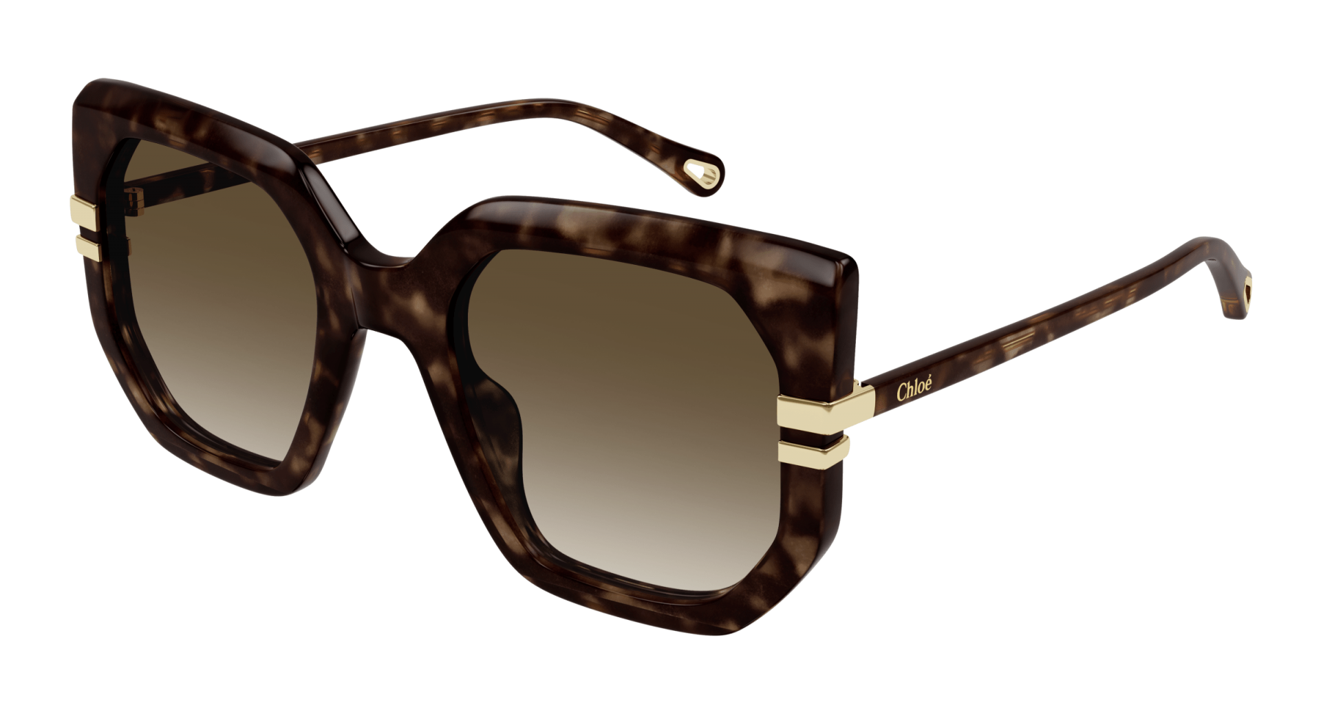 Occhiali da sole Chloé CH0240S 002 8056376503135 | Ottica Lux