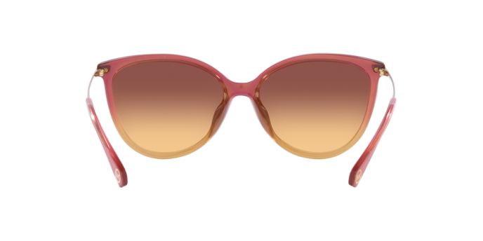Occhiali da sole Michael Kors MK2184U DUPONT 325678 0725125526029 | Ottica Lux