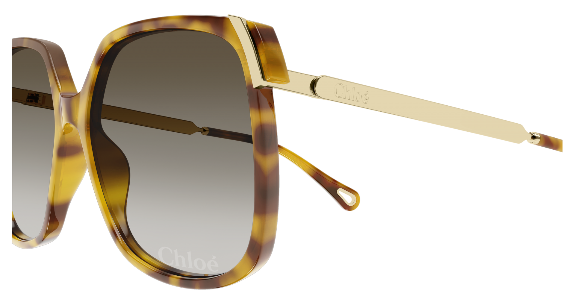 Sunglasses Chloé CH0286S 010 8056376659399 | Ottica Lux