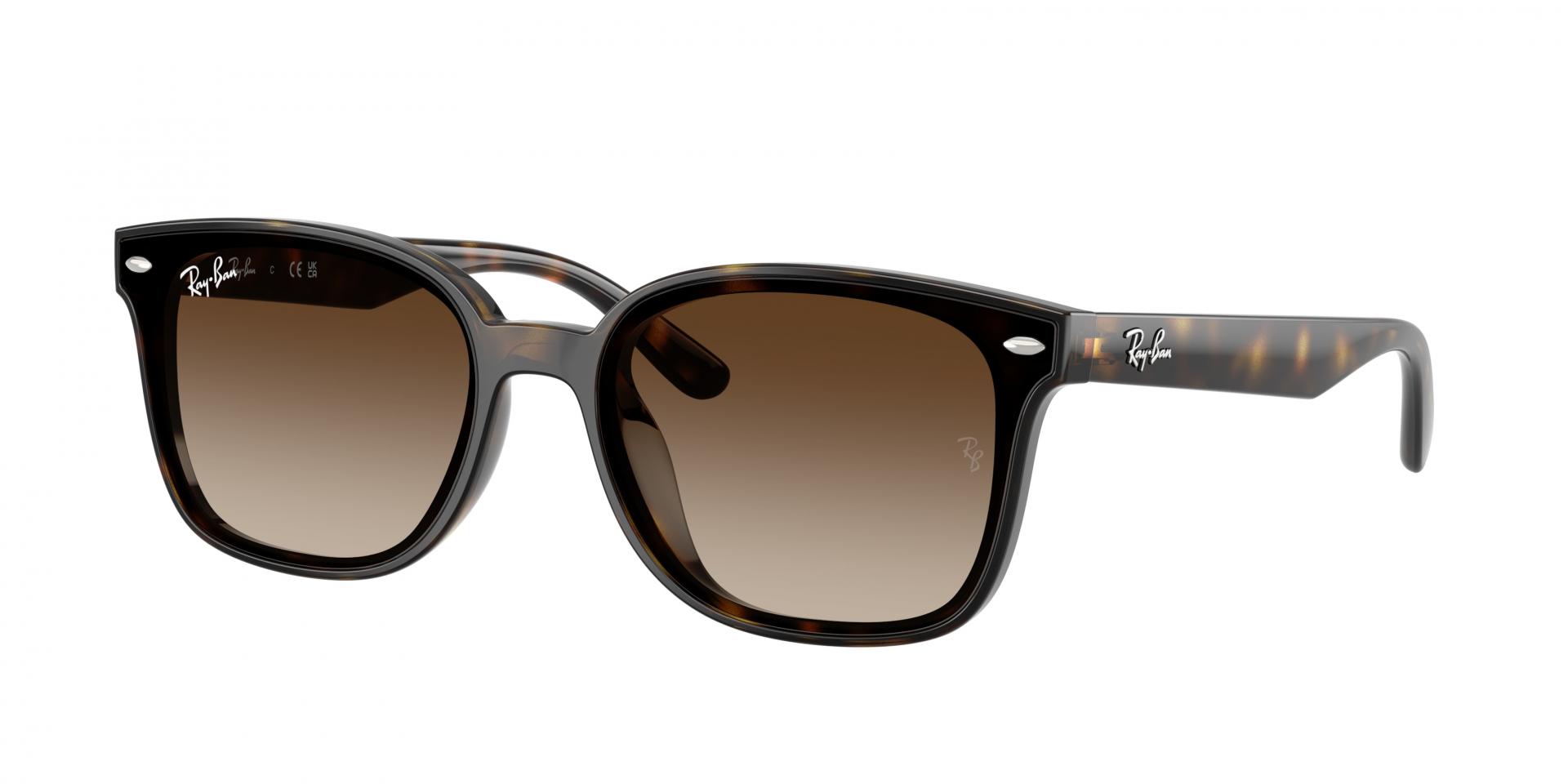 Occhiali da sole Ray-Ban rb4461d 659373 8056262458020 | Ottica Lux