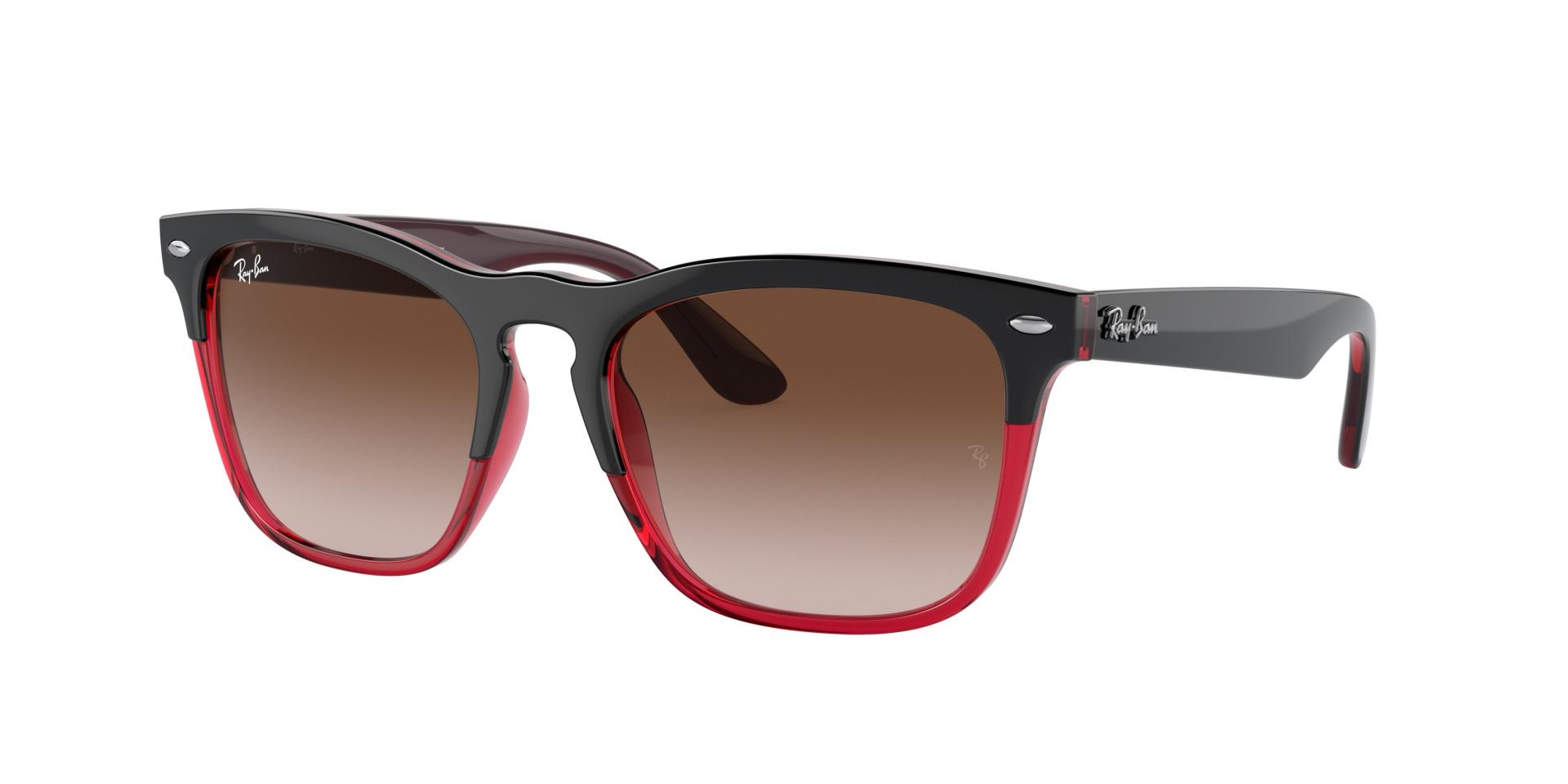 Occhiali da sole Ray-Ban RB4487 STEVE 663113 8056597717830 | Ottica Lux