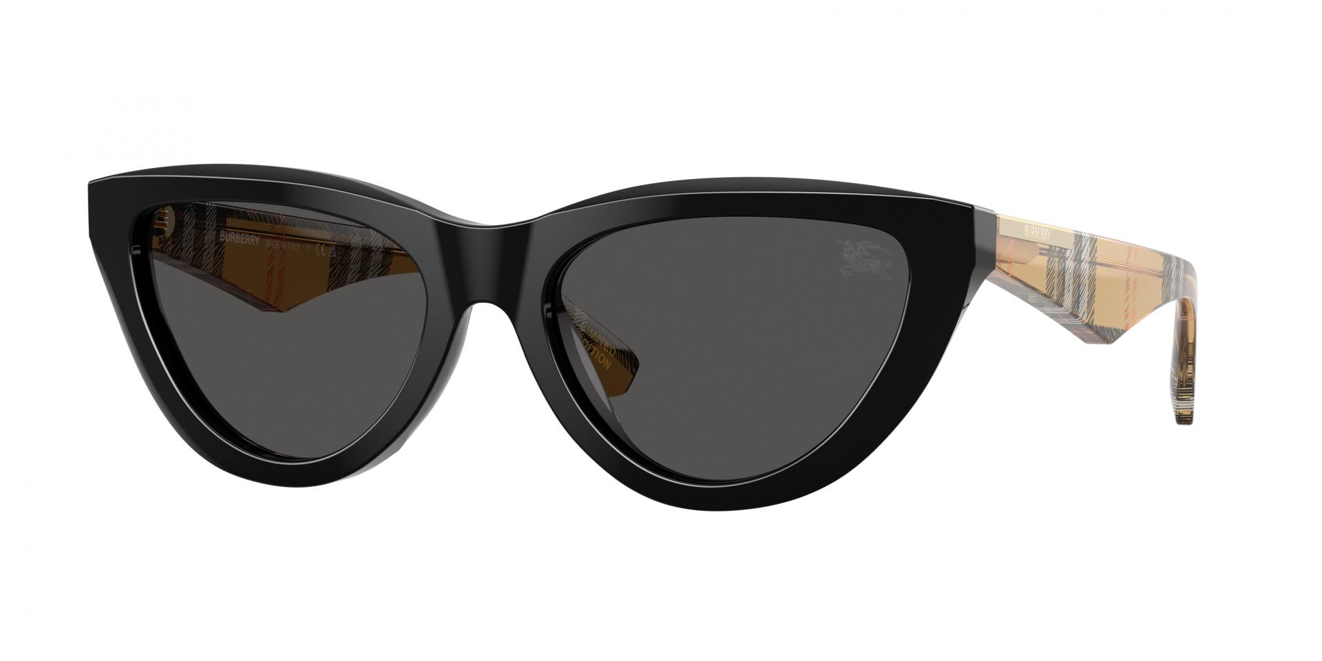 Sunglasses Alexander McQUEEN AM0434S 001 8056376470581 | Ottica Lux