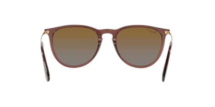 Sunglasses Ray-Ban RB4171 ERIKA 6593T5 8056597616720 | Ottica Lux Sunglasses Ray-Ban RB4171 ERIKA 6593T5 8056597616720 | Ottica Lux