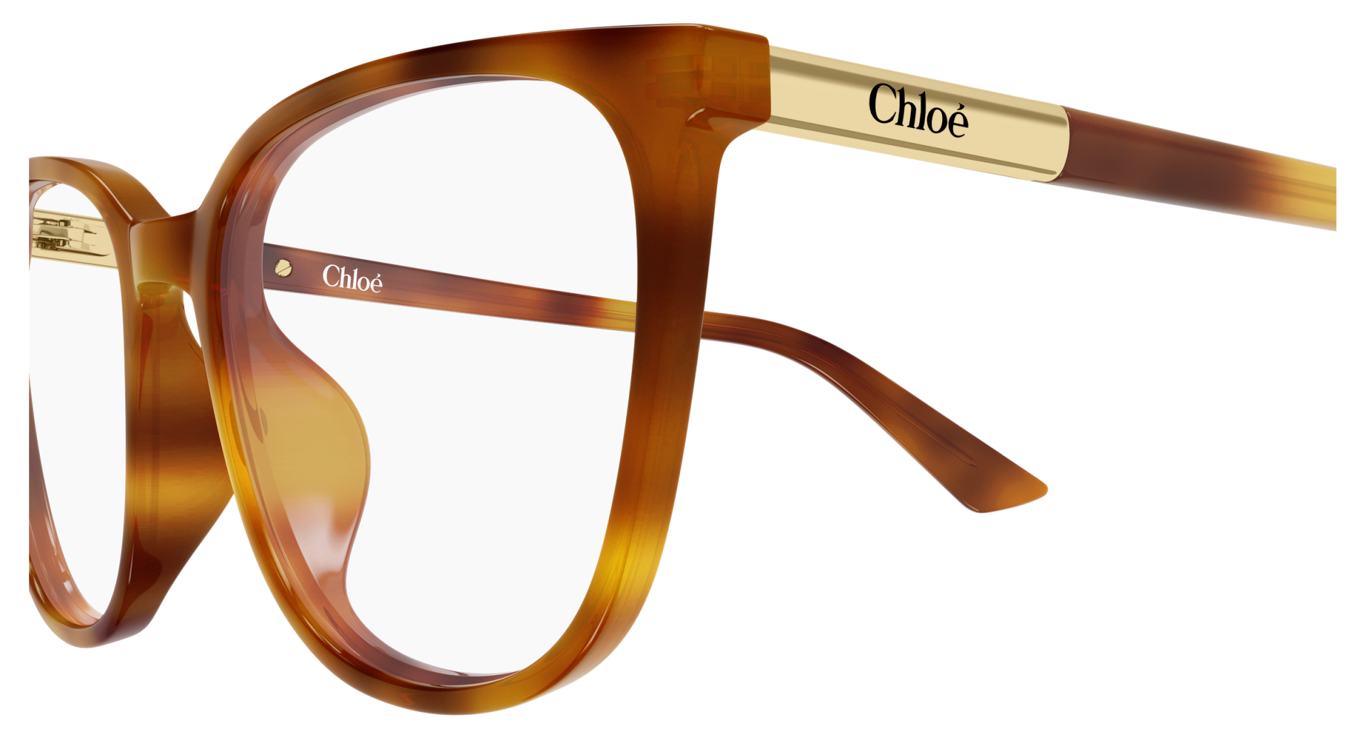 Occhiali da vista Chloé CH0370OL 007 8056376660562 | Ottica Lux
