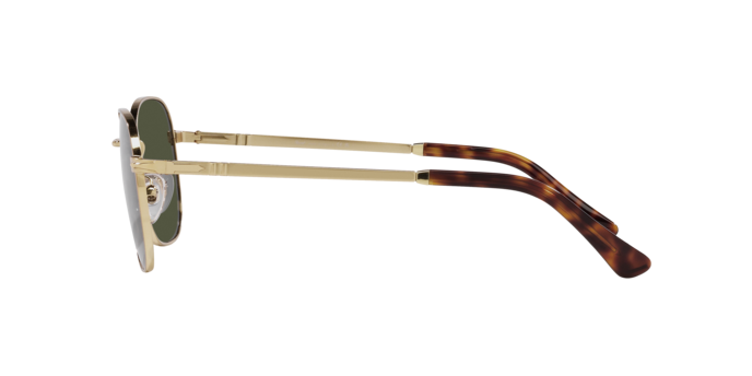 Occhiali da sole Persol PO1009S 515/31 8056597818834 | Ottica Lux