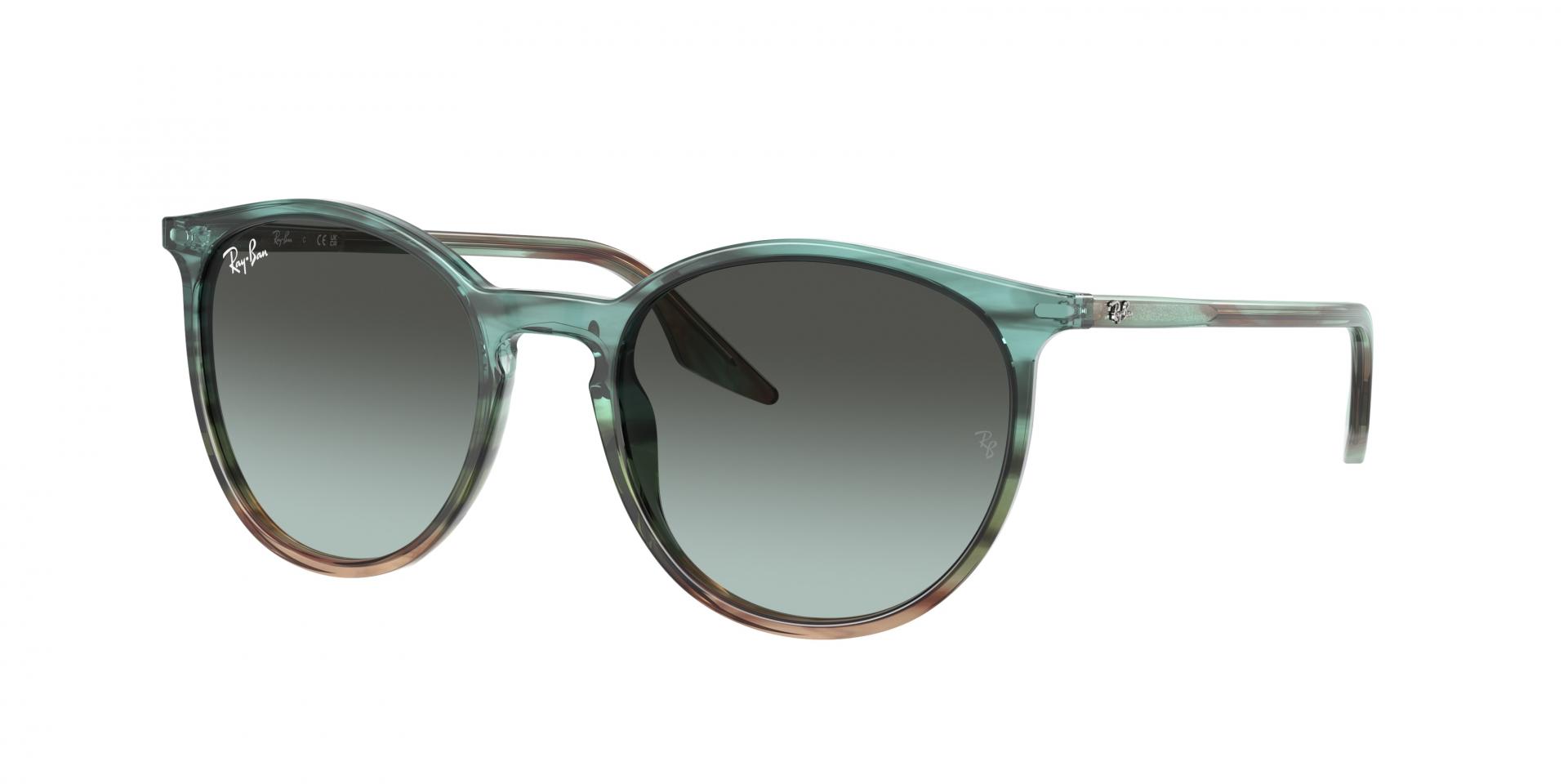 Occhiali da sole Ray-Ban RB2204 1394GK 8056597936446 | Ottica Lux