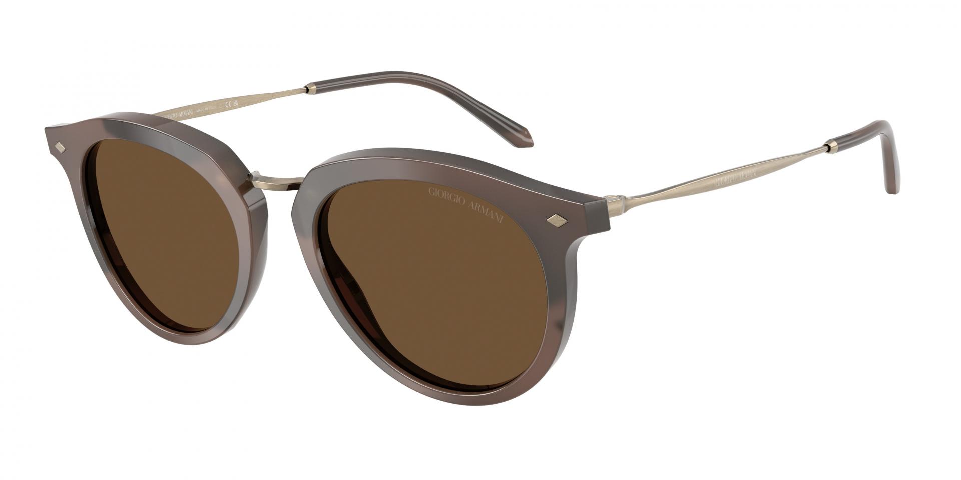 Sunglasses Giorgio Armani AR6188 30451W 8056262998472 | Ottica Lux