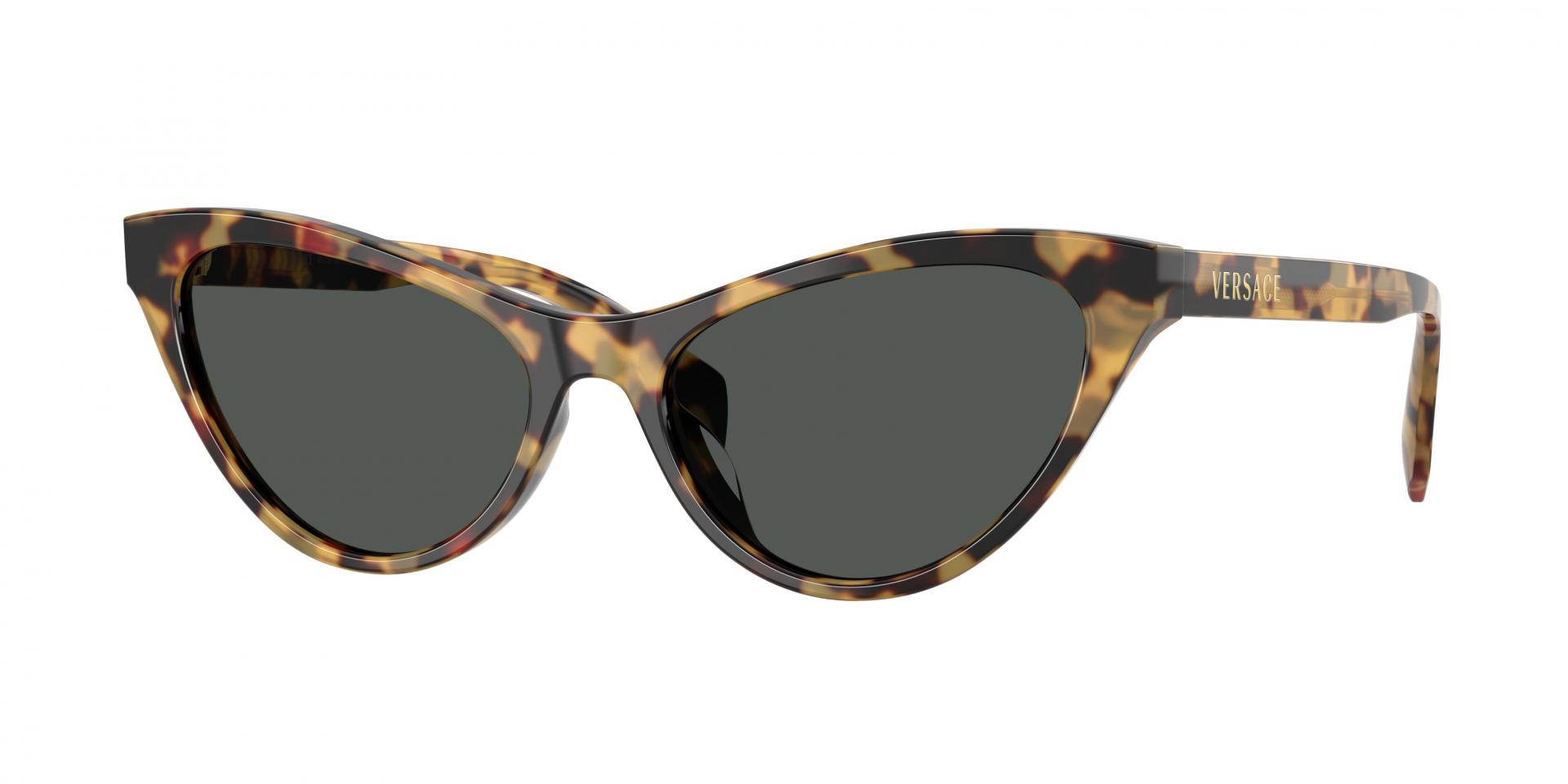Sunglasses Versace VE4522U 388/20 8056262972373 | Ottica Lux