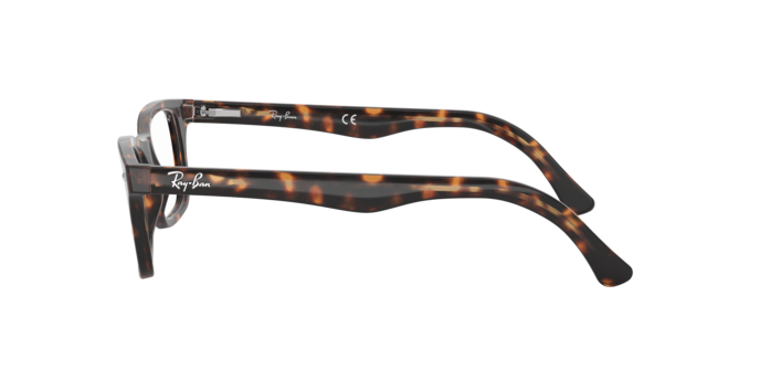 Ophthalmic frames Ray-Ban RX5228 2012 0805289445883 | Ottica Lux