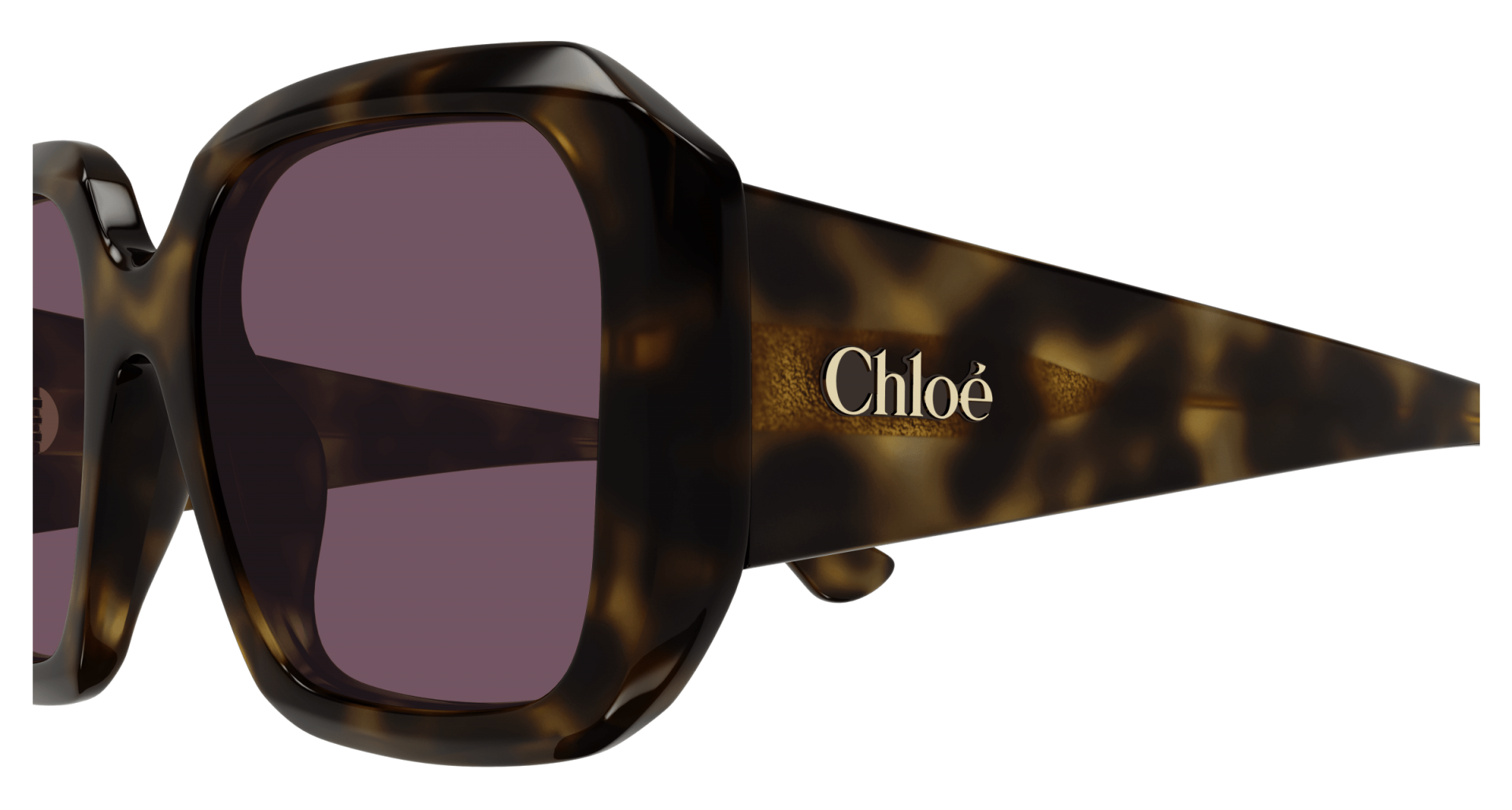 Sunglasses Chloé CH0300S 002 8056376561593 | Ottica Lux