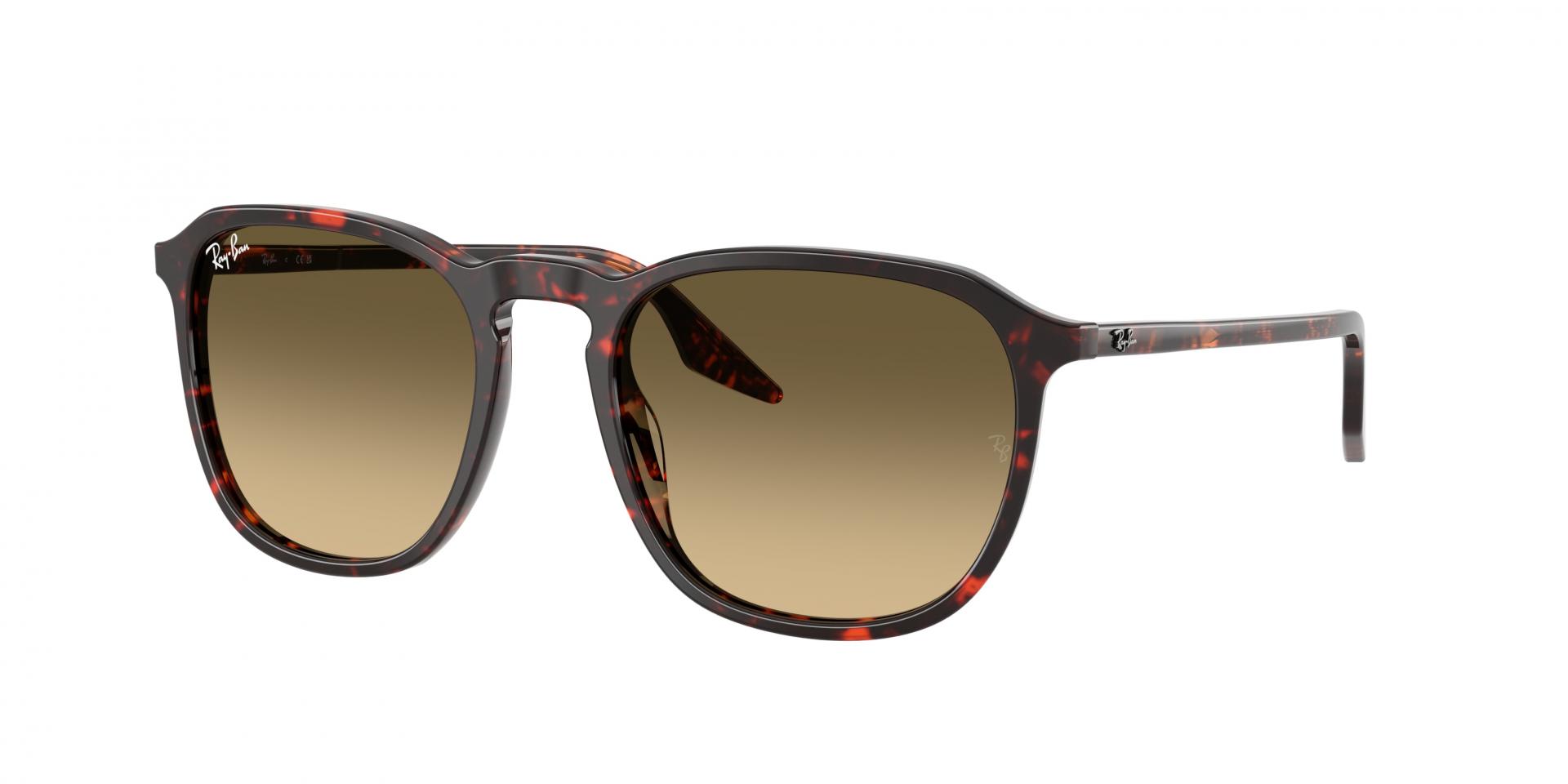 Sunglasses Ray-Ban RB2203 139357 8056597936422 | Ottica Lux