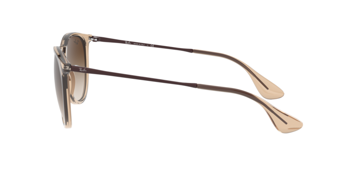 Occhiali da sole Ray-Ban rb4171 ERIKA 6815A5 8056262484647 | Ottica Lux