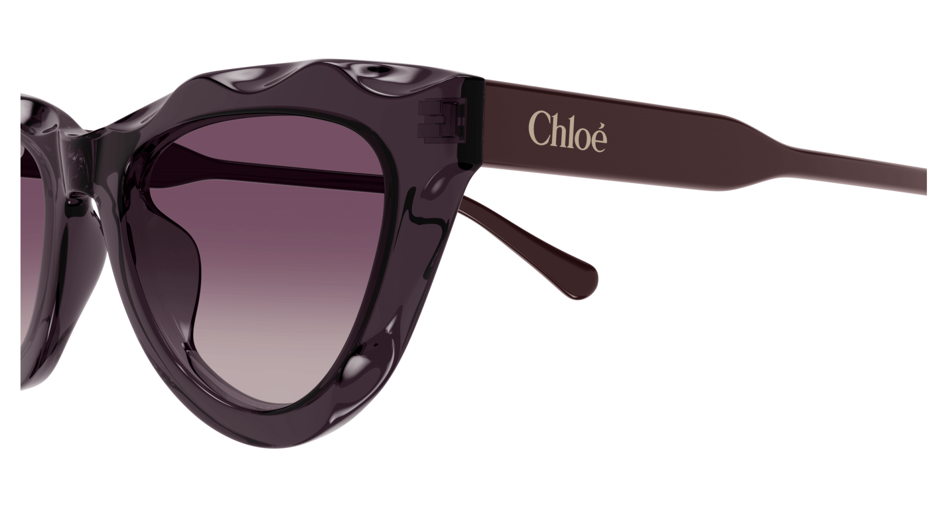 Sunglasses Chloé CH0294S 002 8056376561326 | Ottica Lux