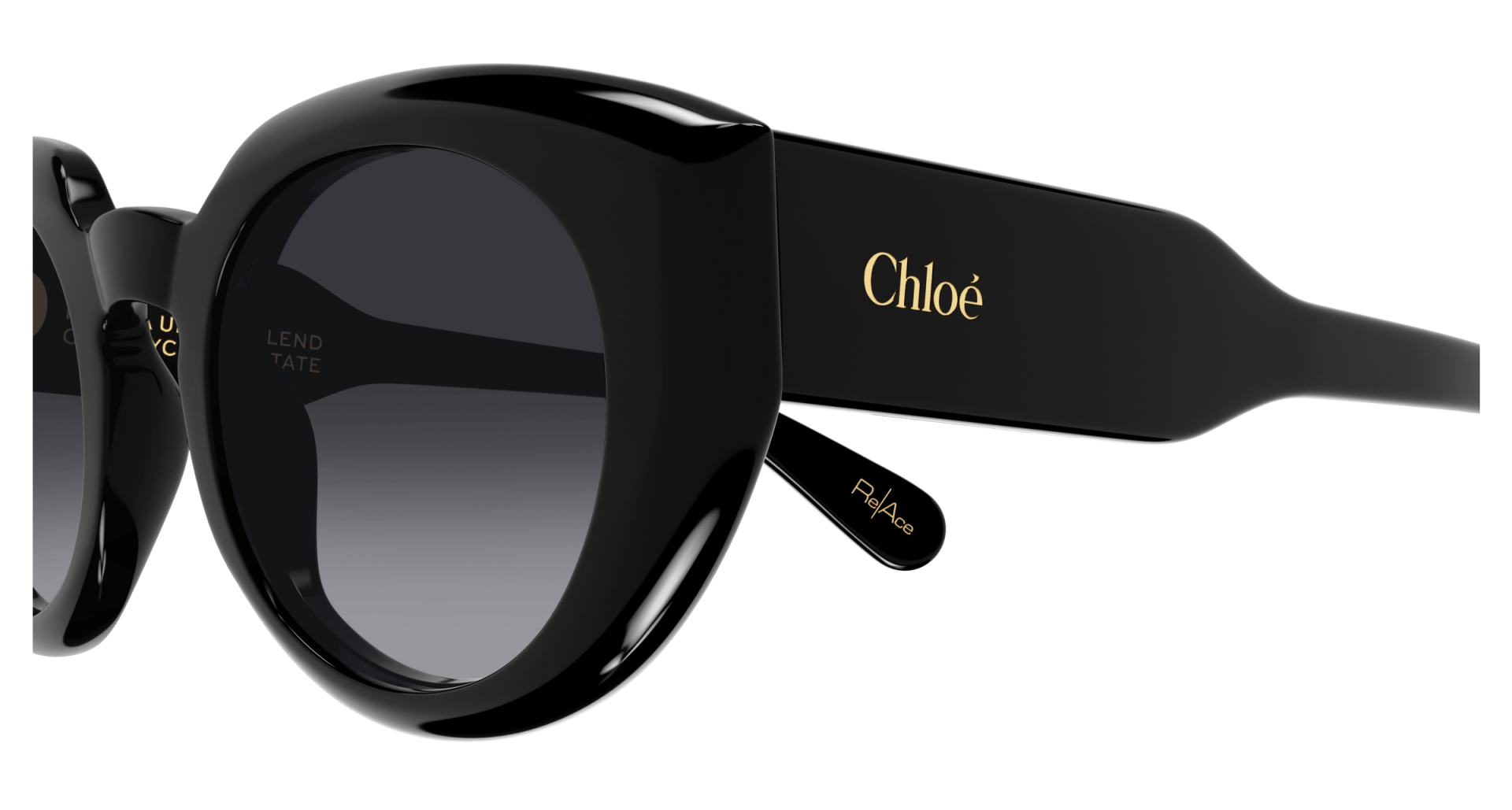 Sunglasses Chloé CH0311S 001 8056376558579 | Ottica Lux