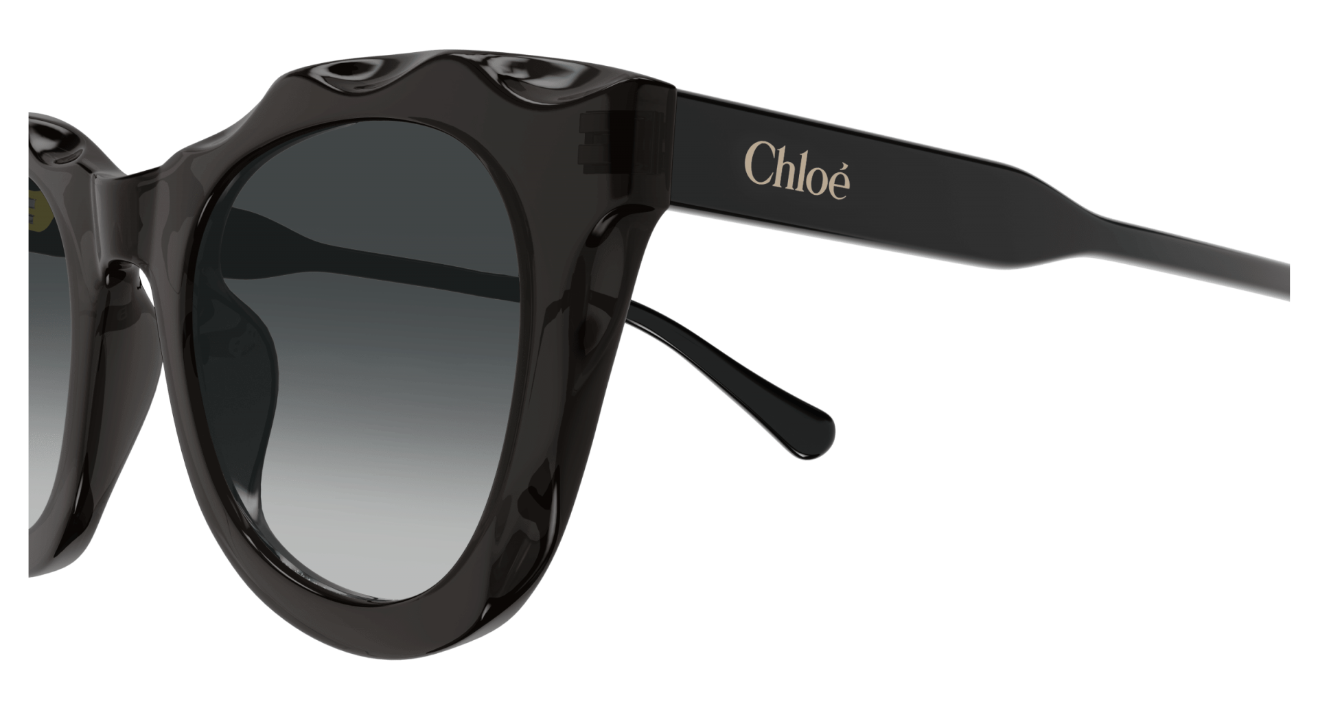 Occhiali da sole Chloé CH0295S 001 8056376561364 | Ottica Lux
