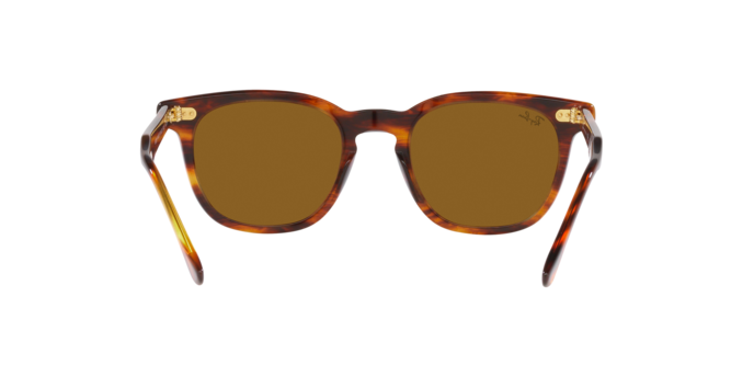 Sunglasses Ray-Ban RB2298 HAWKEYE 954/33 8056597626767 | Ottica Lux Sunglasses Ray-Ban RB2298 HAWKEYE 954/33 8056597626767 | Ottica Lux